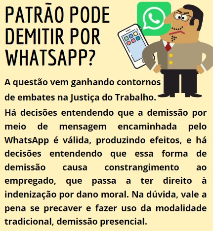 WhatsApp Image 2021-08-31 at 12.42.05.jpeg